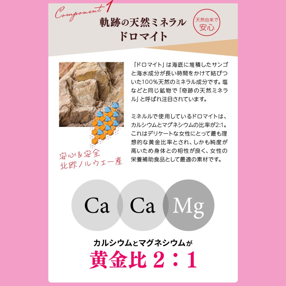 【minelulu】ミネルル２箱《定期購入コース》