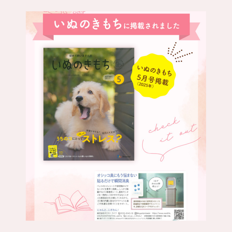 【にゃんと、ニオわん！】詰替用シート　超お得12袋セット《送料無料》