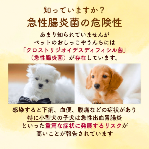 【にゃんと、ニオわん！】詰替用シート　超お得12袋セット《送料無料》