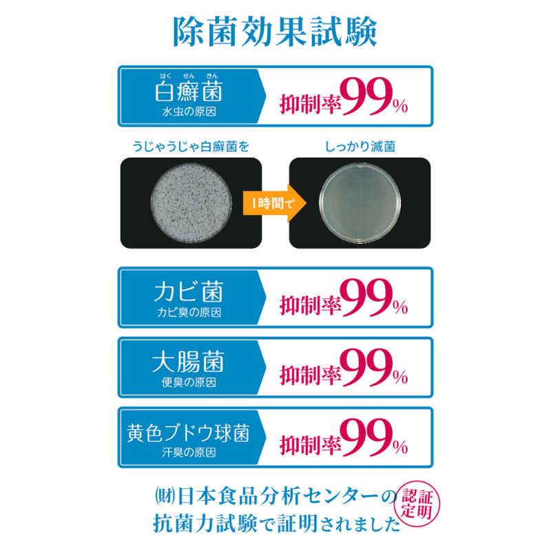 【シューズキュア】福山シティFC版