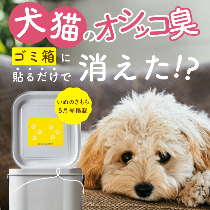 ネコポス発送！【にゃんと、ニオわん！】詰替用シート