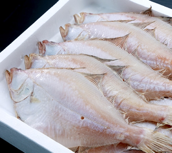 天塩干えてかれい