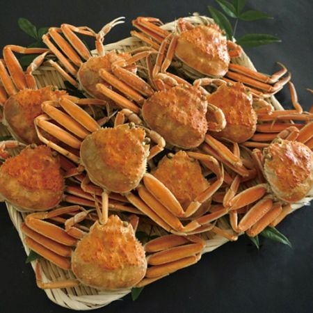 訳あり茹でせこがに　10匹セット(約140g×10）