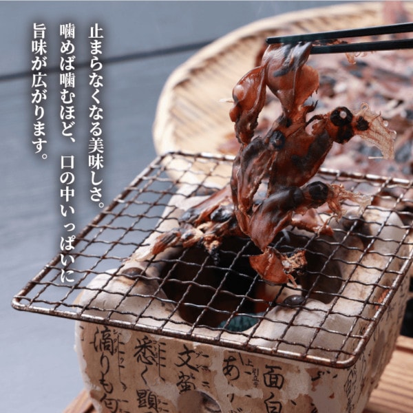 【21-120】訳あり干しほたるいか(80g)