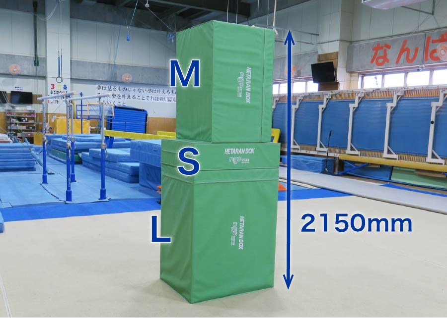 ヘタランボックス L