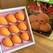 Ĺ�긩�����ϥ������ڤӤ�