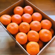 ڥեоݾʡĹ긩Ϻߤ5粽Ȣ