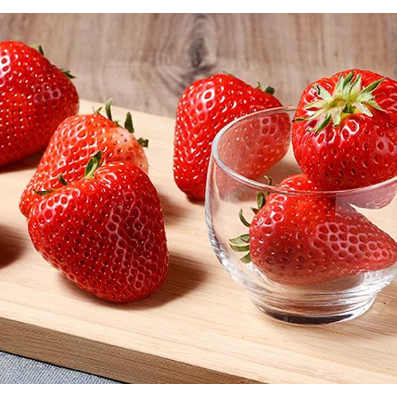 ���ؿͤ����Фߤ�����(Ĺ�긩��)