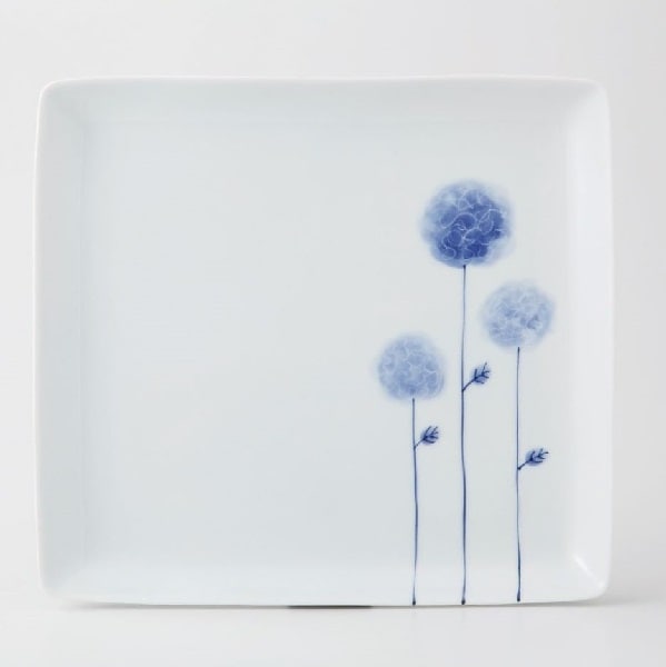 �ե��ܡ��� �ѥץ졼��