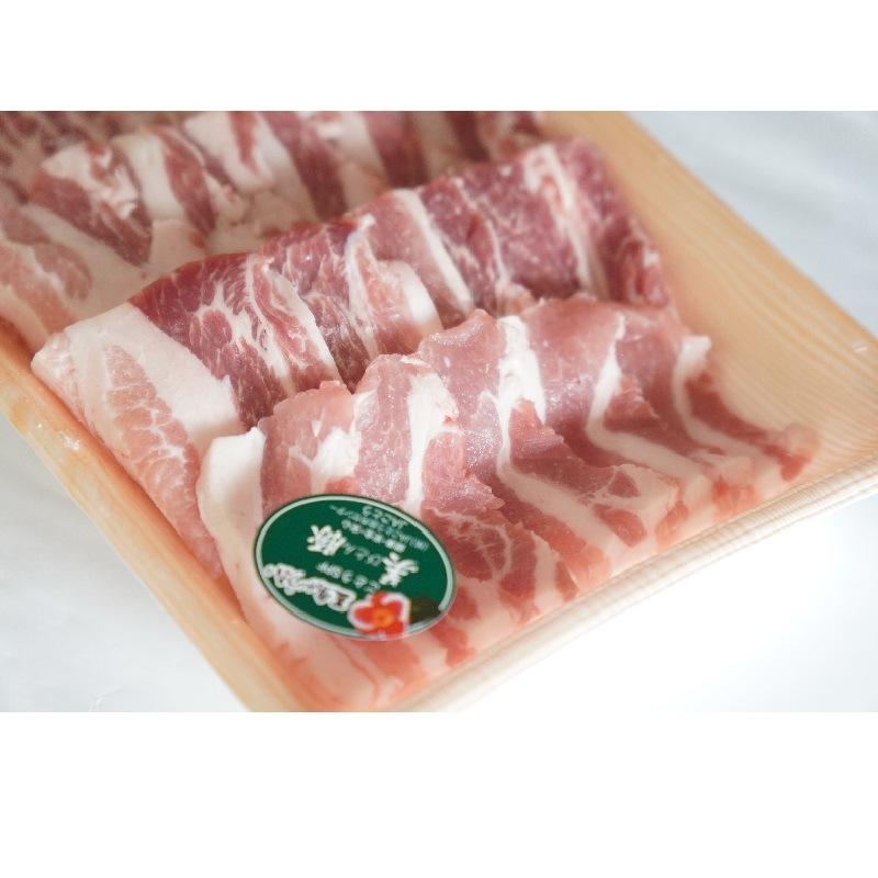 ڥեоݾʡ۸ھå1(500gХ500g)