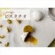 �ڥ��ե��оݾ��ʡ�MANGETSU -caramel-8γ���å�