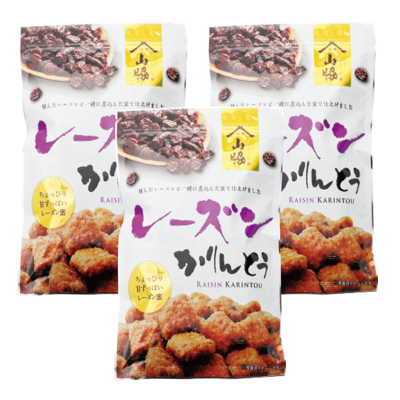 レーズンかりんとう 100g 3袋 レーズンかりんとう 100g 3袋