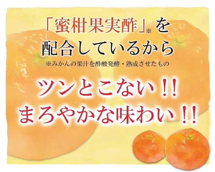 お酢Tセット おいしい酢 955ml×3本 りんご黒酢 720ml×3本 計6本 酢 お酢 調味料 冬とくキャンペーン 送料無料 期間限定