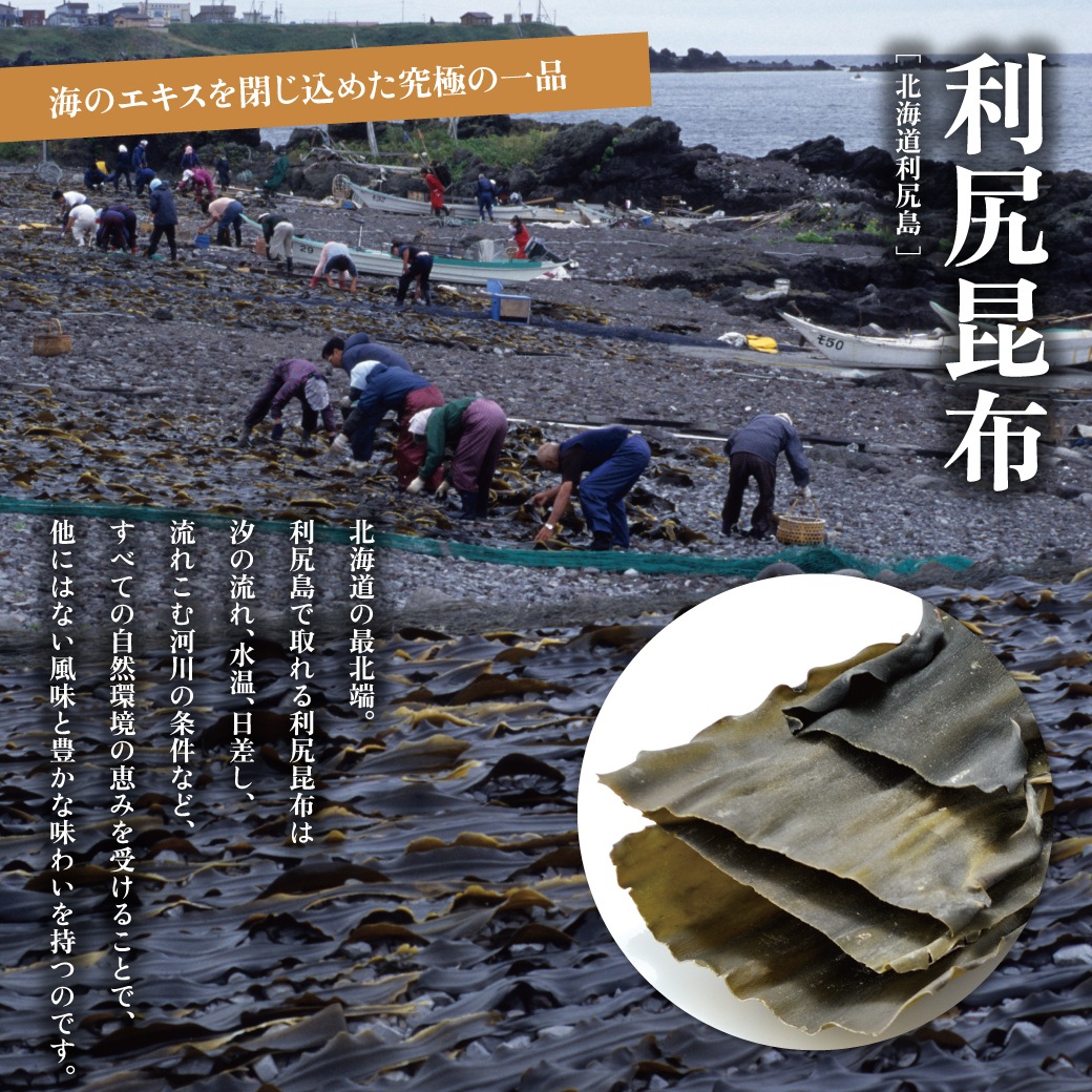 おいしい白だし 900ml×1本 調味料 だし 白だし 白醤油 出汁