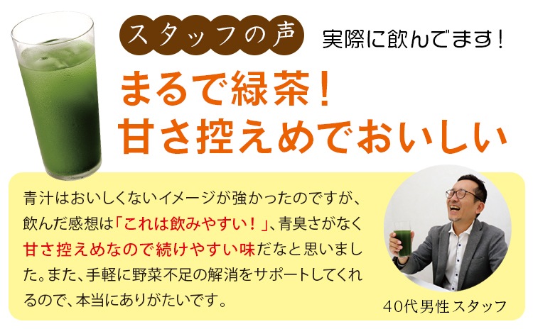 おいしい発酵青汁 3g×30包入り ドリンク 国産 発酵青汁 青汁 乳酸菌 粉末 飲みやすい