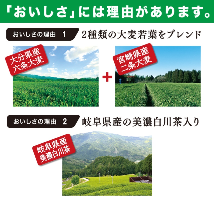 おいしい発酵青汁 3g×30包入り ドリンク 国産 発酵青汁 青汁 乳酸菌 粉末 飲みやすい