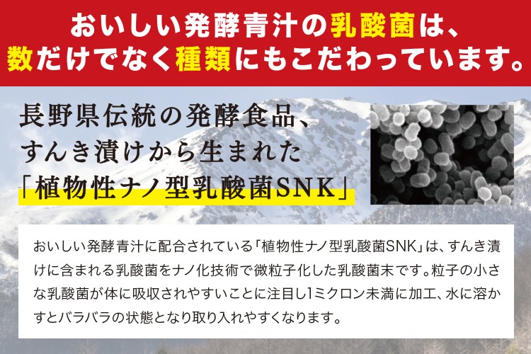 おいしい発酵青汁 3g×30包入り ドリンク 国産 発酵青汁 青汁 乳酸菌 粉末 飲みやすい
