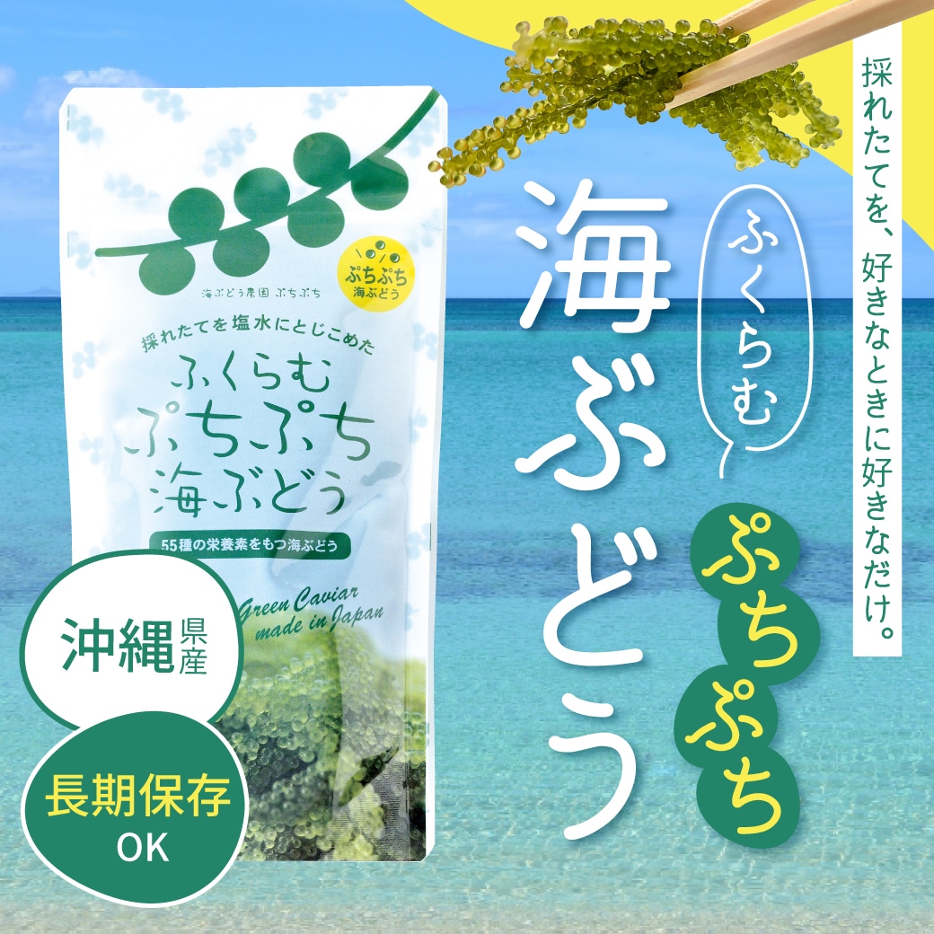 ふくらむぷちぷち海ぶどう 40g×1袋 海ぶどう クビレヅタ 沖縄県産 長期保存