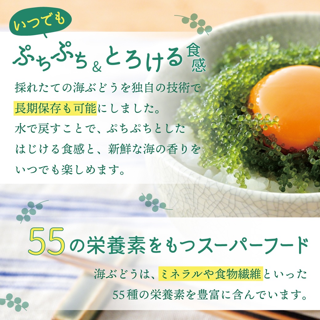 ふくらむぷちぷち海ぶどう 40g×1袋 海ぶどう クビレヅタ 沖縄県産 長期保存