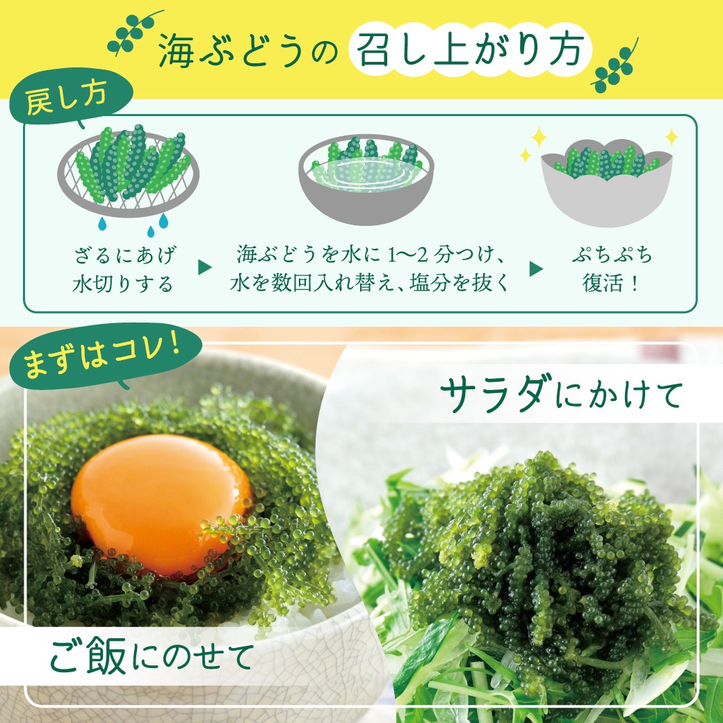 ふくらむぷちぷち海ぶどう 40g×1袋 海ぶどう クビレヅタ 沖縄県産 長期保存