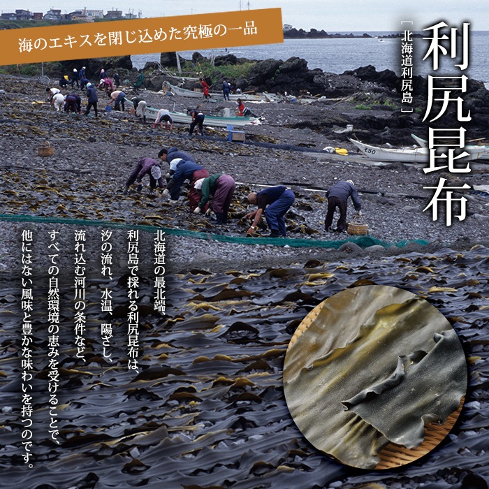 おいしい白だし 360ml×1本 調味料 だし 白だし 白醤油 出汁