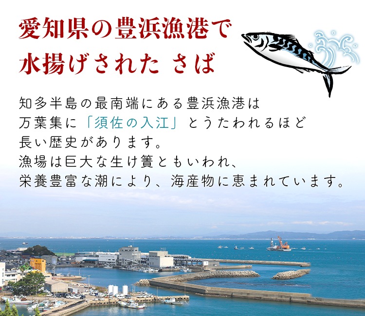おいしいさばしょうゆ煮 130g×1個 食品 おいしい知多食堂 惣菜 おかず ご飯のお供 さばの醤油煮 醤油煮 鯖