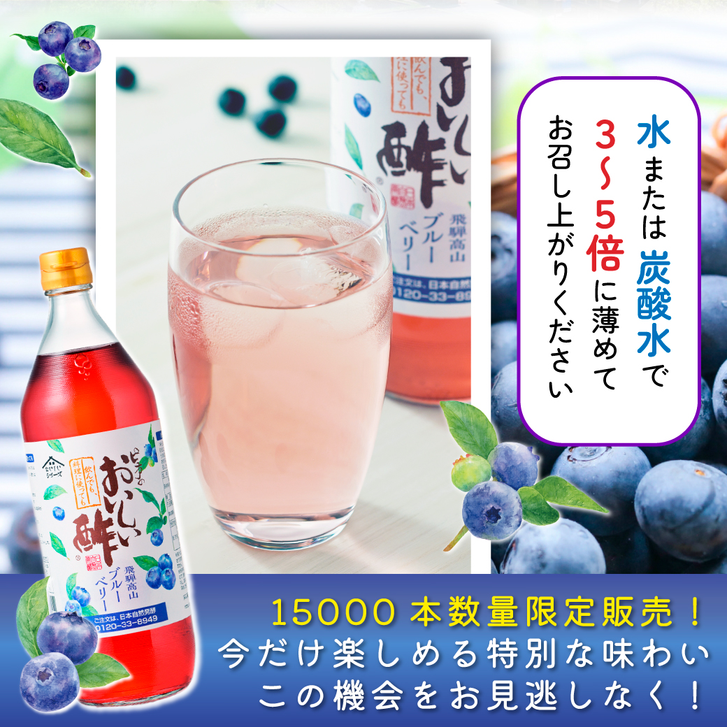 在庫限り】おいしい酢 飛騨高山ブルーベリー 900ml×6本 酢 お酢 調味料