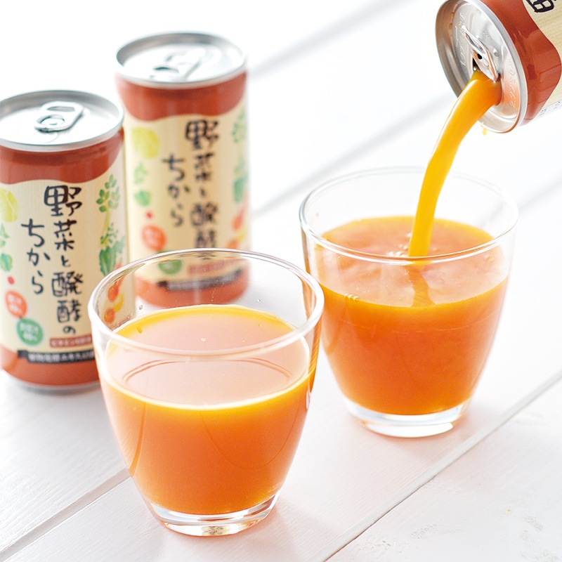野菜と醗酵のちから 1ケース（190g×30本）  ドリンク 飲料 缶 野菜飲料 ジュース