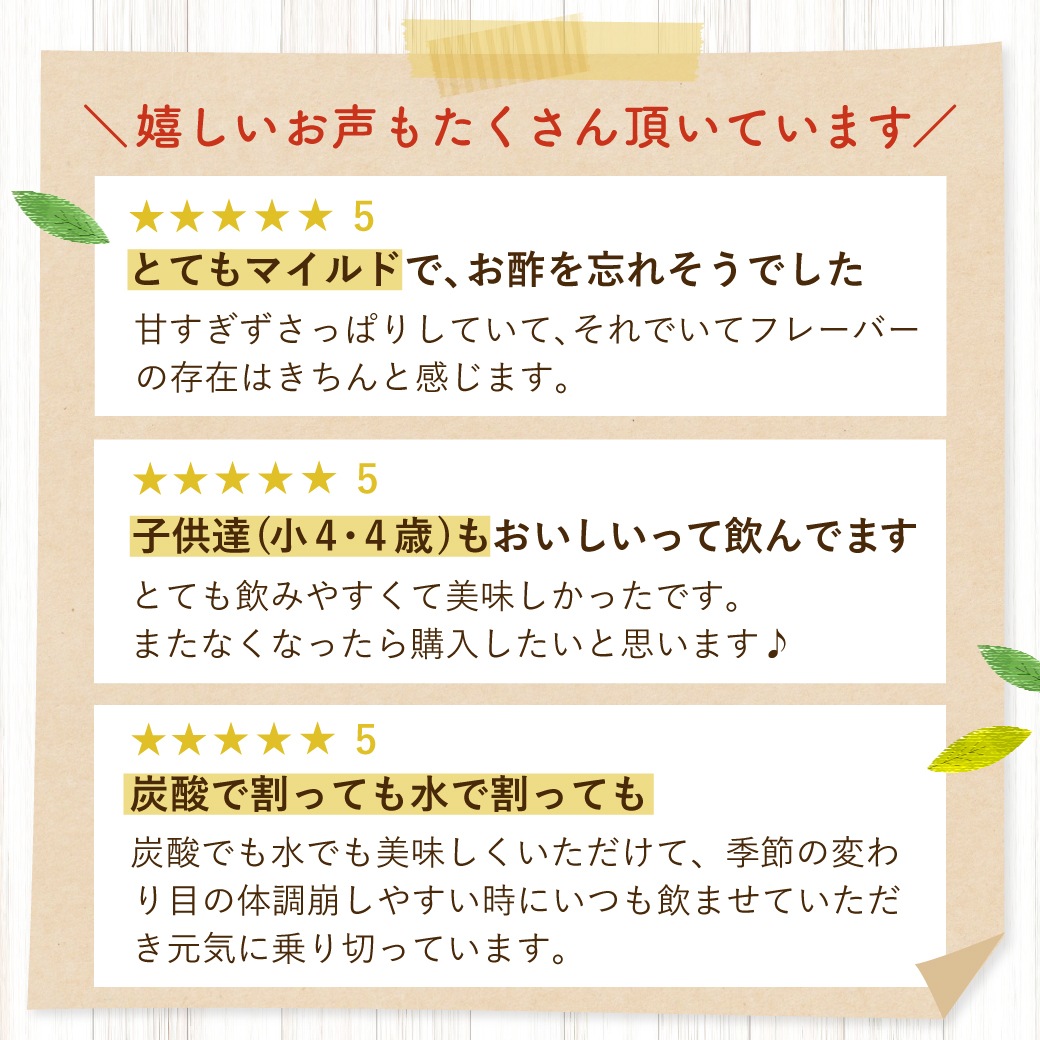 おいしい酢フルーツビネガー ブルーベリー 500ml×6本 フルーツビネガー 果実酢 飲む酢 飲むお酢 ビネガー