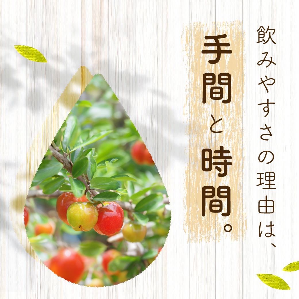 おいしい酢フルーツビネガー アセロラ 500ml×6本 フルーツビネガー 果実酢 飲む酢 飲むお酢 ビネガー