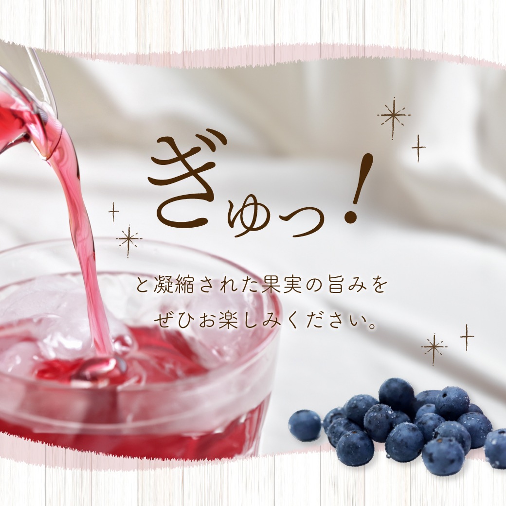 おいしい酢フルーツビネガー アセロラ 500ml×6本 フルーツビネガー 果実酢 飲む酢 飲むお酢 ビネガー