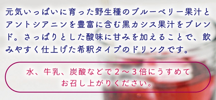 野生種ブルーベリー＆黒カシス 1本×720ml（濃縮果汁） ドリンク 飲料 瓶 フルーツジュース 黒カシス ブルーベリー
