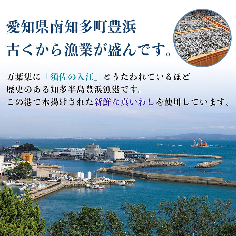 おいしい真いわし煮 135g×2個以上 食品 おいしい知多食堂 真いわし煮 ご飯のお供 甘露煮 いわし