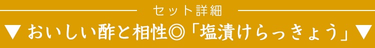 おいしい酢6本特別漬けるセット おいしい酢 955ml×6本 スライス生姜 200g×1袋 塩漬けらっきょう 400g×1袋 沖縄もずく 800g×1袋 計9点 酢 食品 WEB限定 送料無料