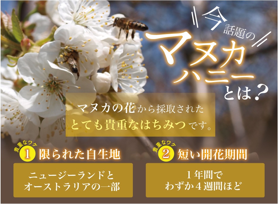 マヌカハニー UMF10＋ 250g×1個 食品 マヌカ はちみつ ニュージーランド産 健康