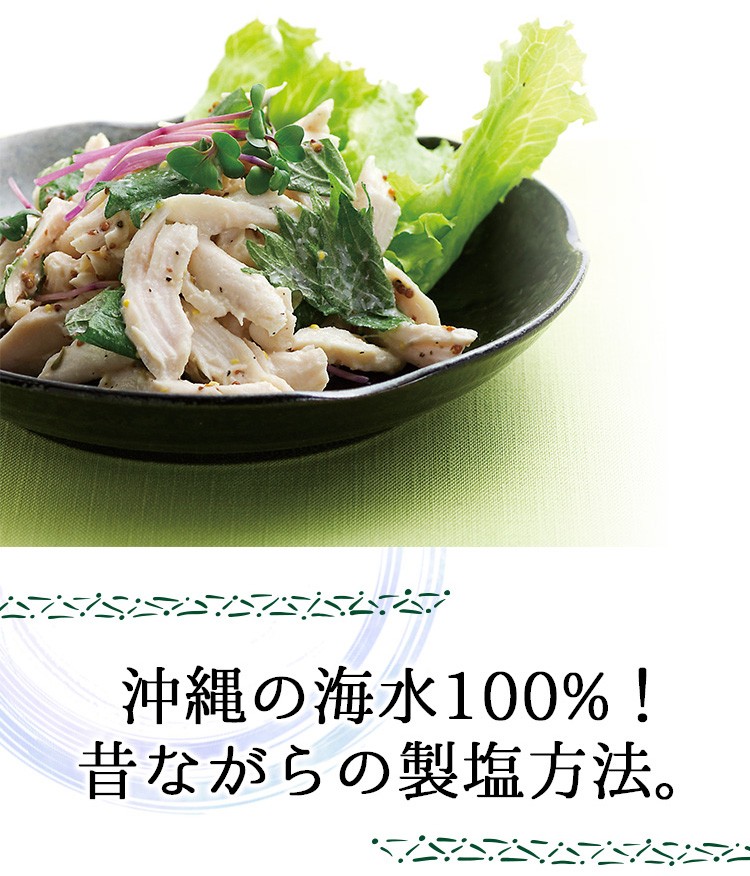 おいしい塩 100ｇ×1袋 調味料 塩 沖縄 海塩 ソルト