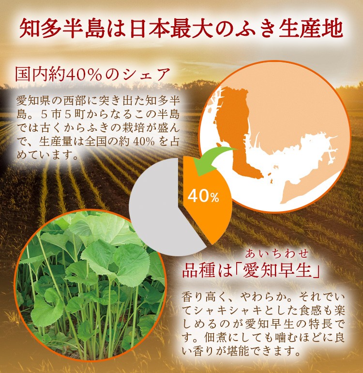おいしいきゃらぶき 100g×1個 食品 おいしい知多食堂 きゃらぶき ご飯のお供 佃煮 ふき