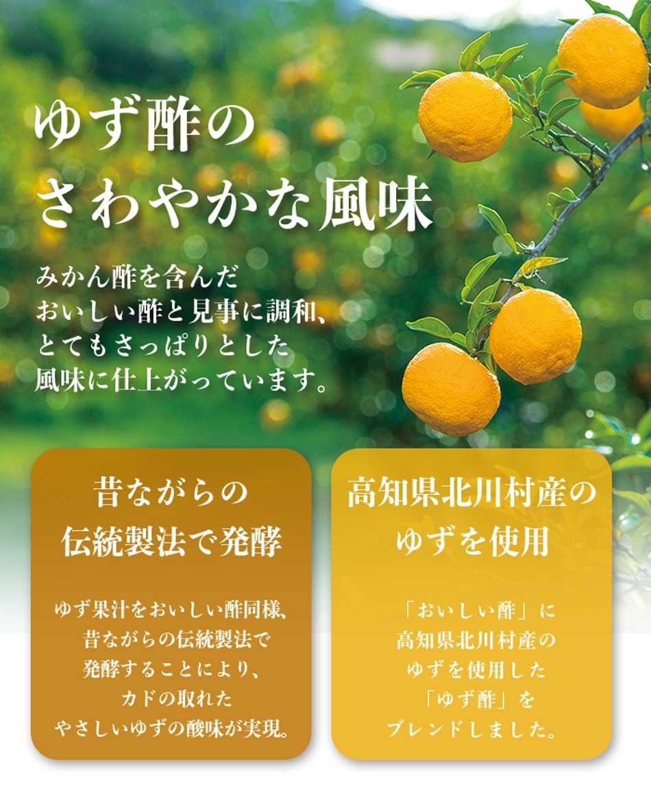 お酢Rセット おいしい酢 955ml×2本・おいしい酢高知ゆず 900ml×2本・おいしい根こんぶだし 500ml×2本 計6本 酢 お酢 だし 調味料 冬とくキャンペーン 送料無料 期間限定