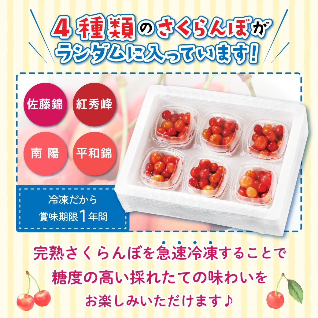 【予約商品】北海道芦別産 冷凍さくらんぼ 160g×6パック 産地直送 冷凍 期間限定