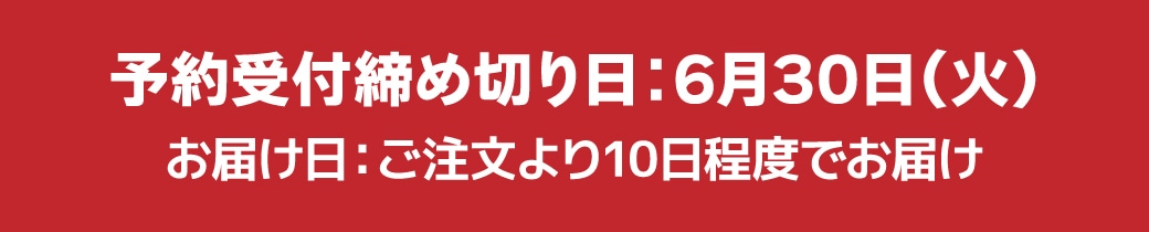 【予約商品】北海道芦別産 冷凍さくらんぼ 160g×6パック 産地直送 冷凍 期間限定