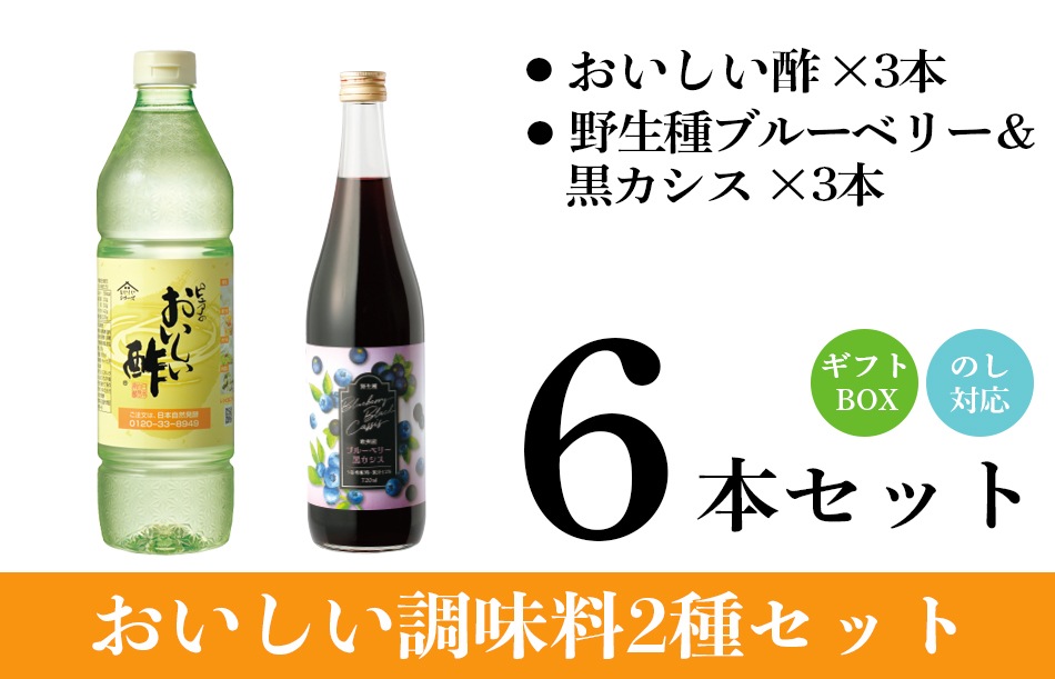 WEB限定ギフトセット-6 おいしい酢 955ml×3本 野生種ブルーベリー&黒カシス 720ml×3本 計6本 酢 お酢 調味料 ドリンク ギフト ギフトセット 贈り物 お中元 お歳暮