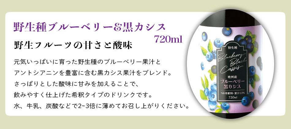 WEB限定ギフトセット-10 おいしい酢 955ml×6本 野生種ブルーベリー&黒カシス 720ml×6本 計12本 酢 お酢 調味料 ドリンク ギフト ギフトセット 贈り物 お中元 お歳暮 