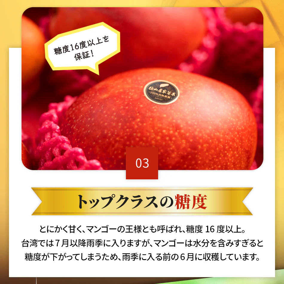 【予約商品】台湾マンゴー 2.5kg（5〜7玉） 産地直送 冷蔵 期間限定 送料無料