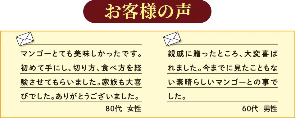【予約商品】台湾マンゴー 2.5kg（5〜7玉） 産地直送 冷蔵 期間限定 送料無料