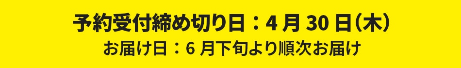 【予約商品】台湾マンゴー 2.5kg（5〜7玉） 産地直送 冷蔵 期間限定 送料無料
