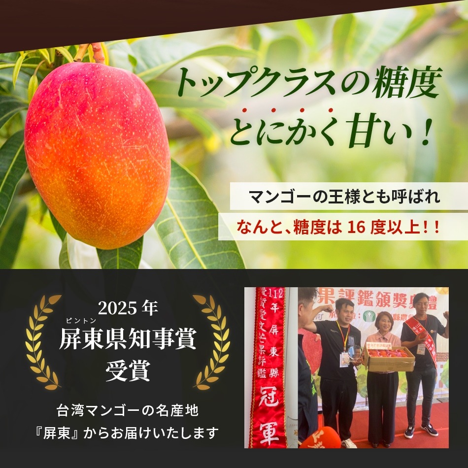 【予約商品】台湾マンゴー 2.5kg（5〜7玉） 産地直送 冷蔵 期間限定 送料無料