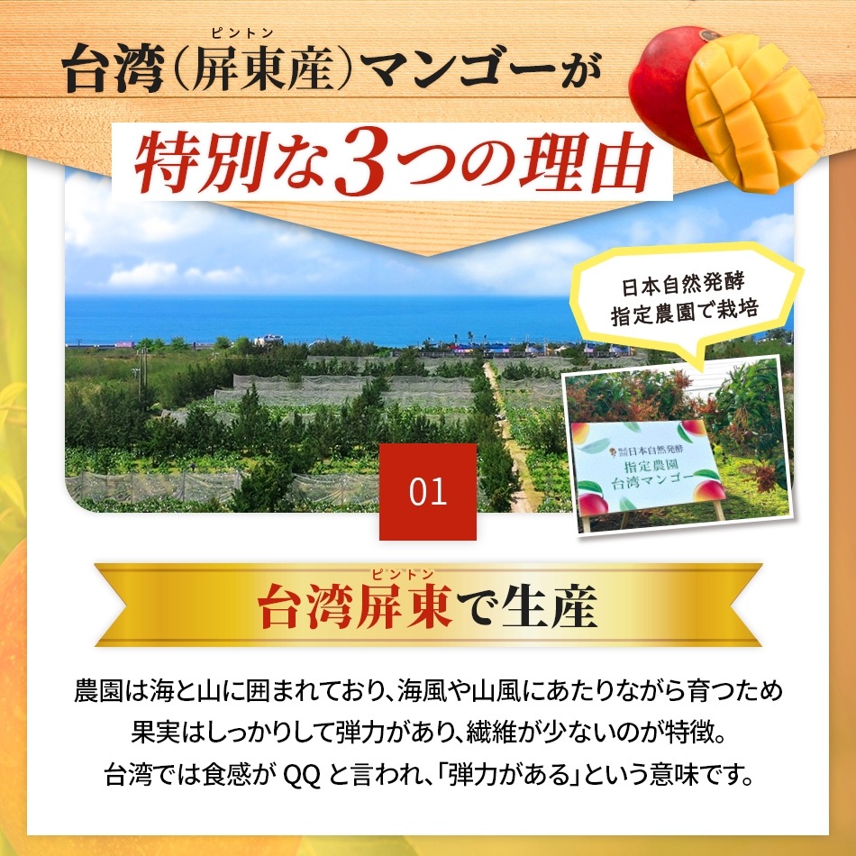 【予約商品】台湾マンゴー 2.5kg（5〜7玉） 産地直送 冷蔵 期間限定 送料無料