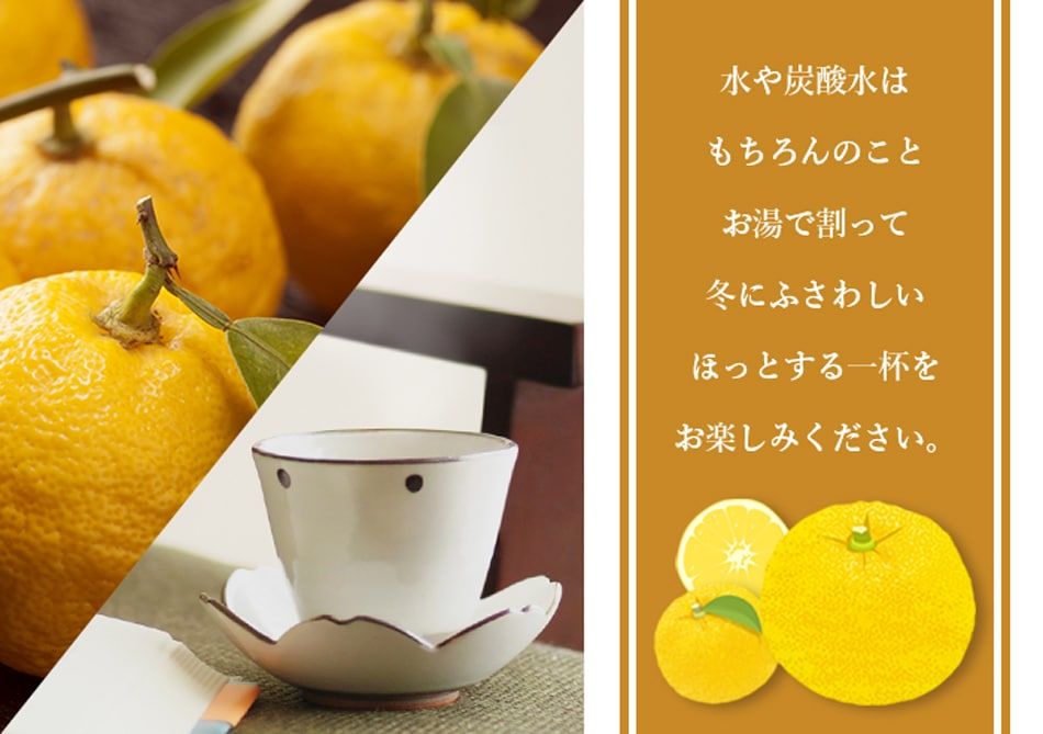 お酢Mセット おいしい酢 955ml×3本 おいしい酢青森りんご 900ml×1本 おいしい酢高知ゆず 900ml×1本 計5本 酢 お酢 調味料 冬とくキャンペーン 送料無料 期間限定