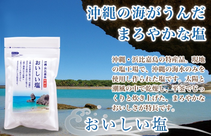 おいしい塩 3袋セット（箱入り） 100ｇ×3袋 調味料 塩 沖縄 海塩 ソルト