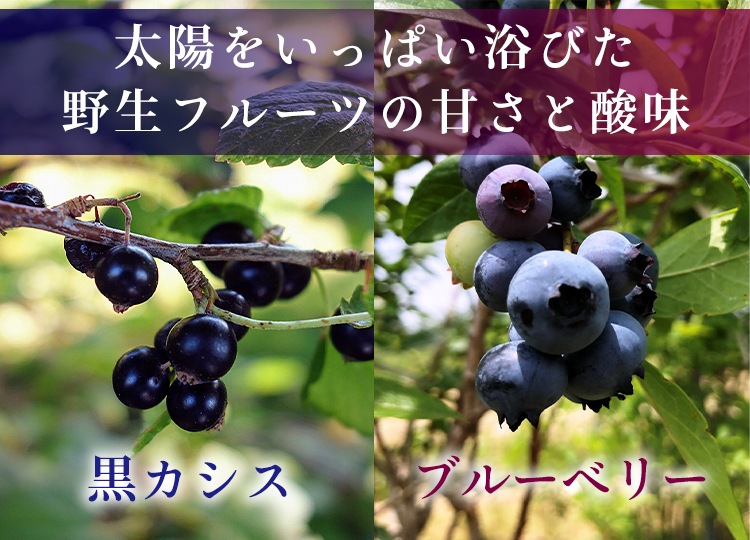 野生種ブルーベリー＆黒カシス 3本×720ml（濃縮果汁） ドリンク 飲料 フルーツジュース 黒カシス ブルーベリー